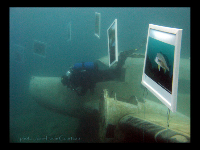 AQUART in MORRISON quarry 2010 6 par JEAN LOUIS COURTEAU.jpg